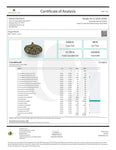 Premium Hemp Flower | Dragon Breath