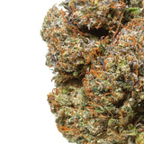 Premium Hemp Flower | Cookie Butter