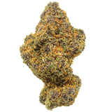 Premium Hemp Flower | Shaolin Temple