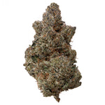 Premium Indoor Hemp Side Piece #2 Kush notes, creamy coffee, and all gas!,